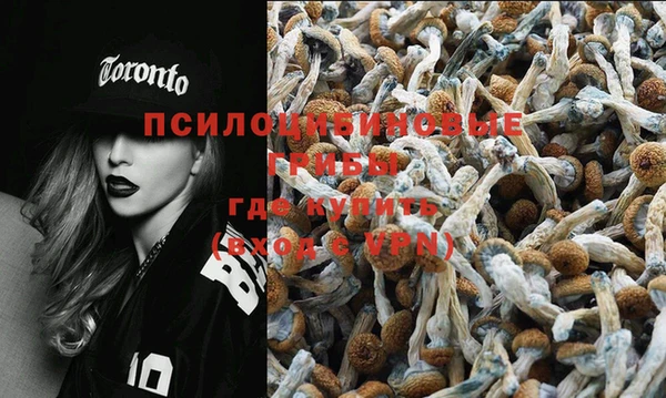 шишки Алзамай