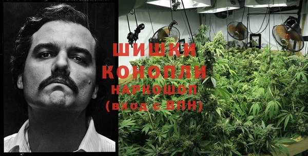 гидра Алексеевка